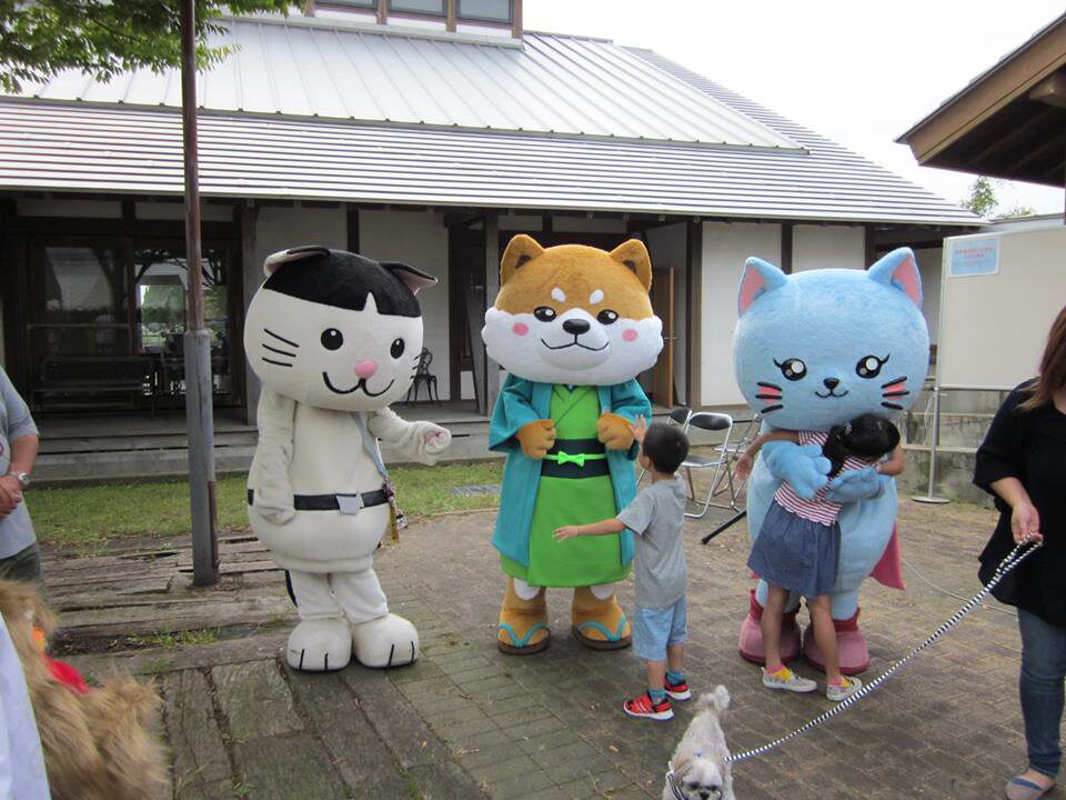 はちすけ・あきにゃん