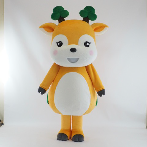 キタニシカ